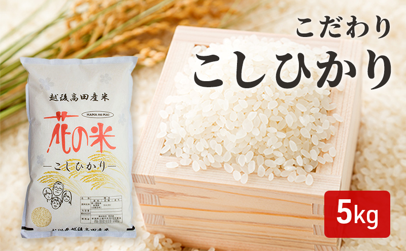 コシヒカリ 【花の米】こだわりこしひかり 白米 5kg こしひかり 米 お米 こめ 白米 おすすめ ふるさと納税 新潟 新潟県産 にいがた 上越 上越産