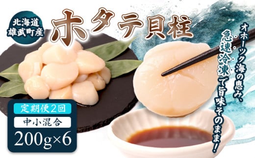 【定期便2回】　北海道雄武町産ほたて貝柱 中小混合 200g×6 (冷凍) 使い切りパック | ふるさと納税 北海道 雄武 ホタテ 帆立 ほたて 小粒 中粒 大粒 200g×6 2.4kg 冷凍 オホーツク オホーツク産 刺身 魚貝 魚介 海鮮 海産 海産物 魚介類 お取り寄せ ワンストップ マイページ 雄武漁業協同組合【07141】