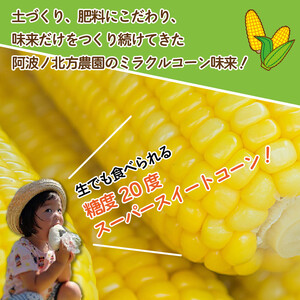 【 先行予約 】 とうもろこし みらい 12～18本 スイートコーン 朝どれ 糖度20度 味来 甘い 《 2024年6月～順次発送 》 コーン サラダ 徳島県 阿波市 【 野菜 とうきび 旬 新鮮 ギ