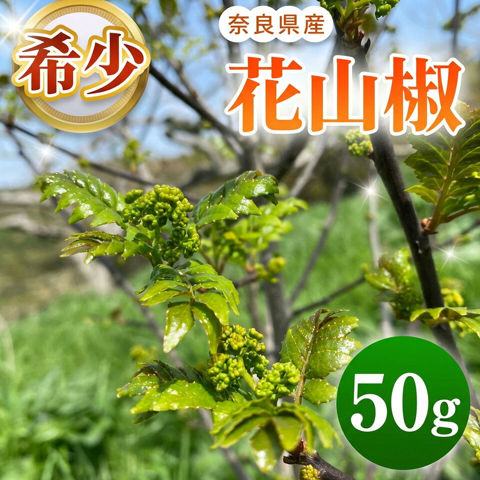 【ふるさと納税】希少 花山椒 50g | 花山椒 山椒 さんしょう 希少 胡椒 料理 調味料 スパイス | 奈良県 五條市