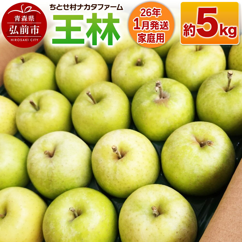 【ふるさと納税】【レビューキャンペーン】【26年1月発送】りんご【家庭用】王林 約5kg