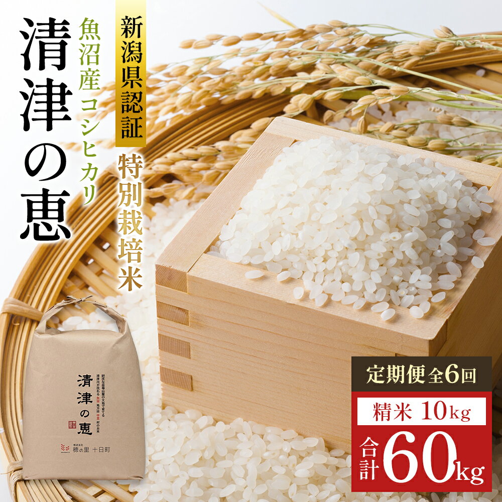 【ふるさと納税】【令和8年産 先行予約】〈定期便〉魚沼産特別栽培米コシヒカリ［清津の恵］精米10kg（5kgx2袋）全6回　お届け：2026年10月上旬から準備ができ次第発送