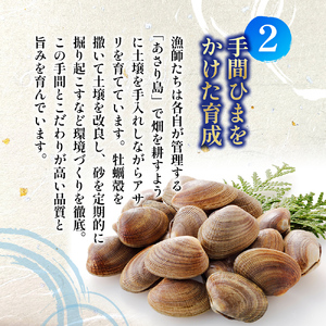 厚岸産 大きなあさり 1kg 漁師から直で仕入れ！砂出し済 アサリ あさり