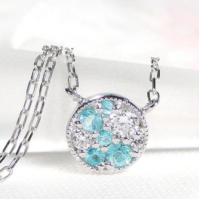 ふるさと納税 甲府市 PT900/PT850パライバトルマリン ダイヤモンドネックレス (Fph006) |  | 01