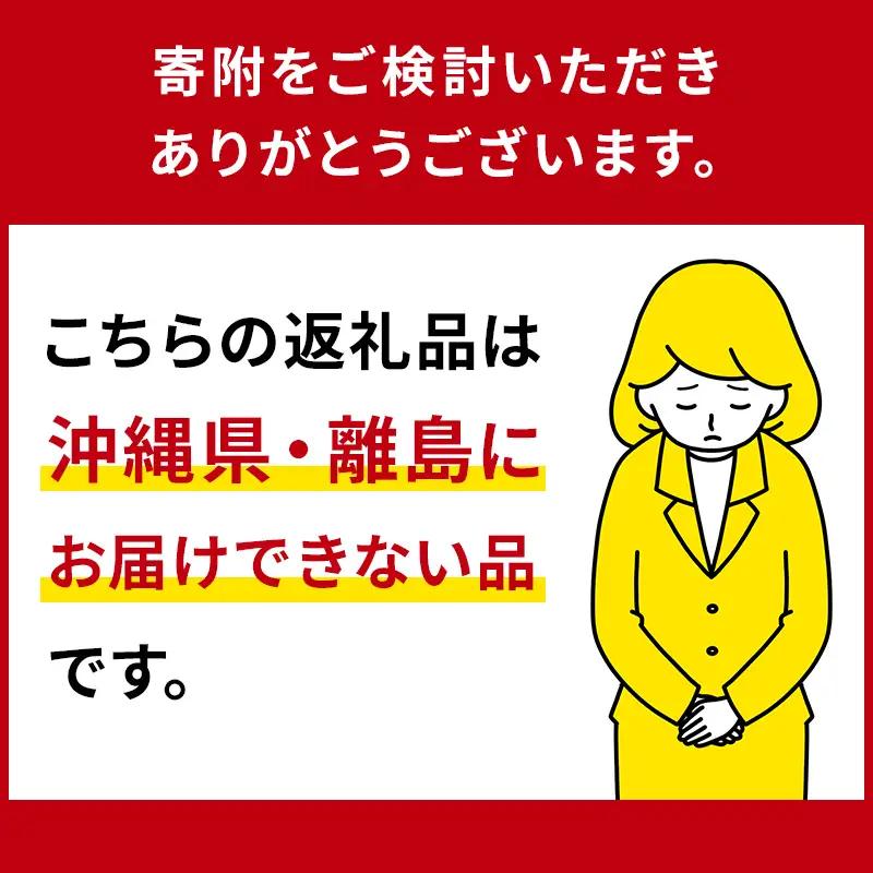 【先行受付】栃木県産　とちあいか約250ｇ×4パック【栃木県共通返礼品】【2027年1月下旬～発送予定】　ns120-001 いちご とちあいか 