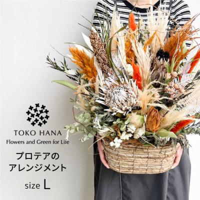 ふるさと納税 糸島市 プロテアのアレンジメント(Lサイズ)糸島市/tokohana ドライフラワー [AOC037]