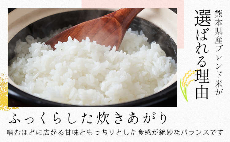 【3ヶ月定期便】 熊本県産 肥後清流米 無洗米 20kg ブレンド米 熊本県産 ふるさと納税 精米 米 こめ ふるさとのうぜい コメ お米 おこめ《9月下旬-11月上旬頃出荷》---kikuchite