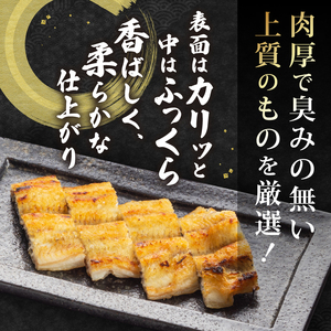 うなぎ 白焼き 1本