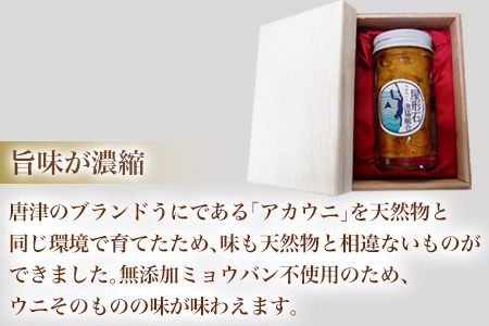 『先行予約』【令和8年7月より順次発送】数量限定 幻のアカウニ 屋形石紅うに(塩うに) 70g×2本 ミョウバン不使用 無菌水使用 雲丹 海鮮 海産物 瓶詰め おつまみ おかず 酒の肴 ご飯のお供