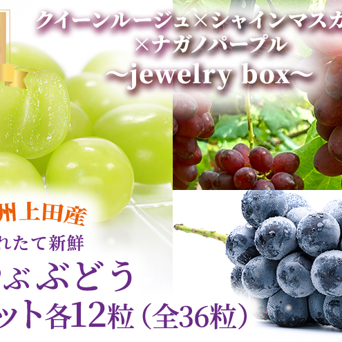 厳選！クイーンルージュ(R)×シャインマスカット×ナガノパープル jewelry box 信州上田産 金剛寺ぶどう 36粒 つぶつぶぶどう 3色 セット 詰め合わせ ぶどう マスカット フルーツ 旬の果物 長野