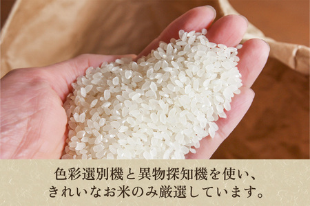 【令和7年産】【定期便3回毎月お届け】老舗米穀店が厳選 新潟県加茂市産コシヒカリ「七谷米」無洗米10kg（5kg×2）〈順次出荷〉 従来品種 金子米店