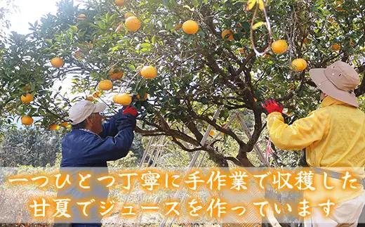 果汁100％ 甘夏ジュース720ml×2本セット 甘夏 蜜柑 果物 柑橘 フルーツ シュース 国産 三重県 尾鷲市　AI-7