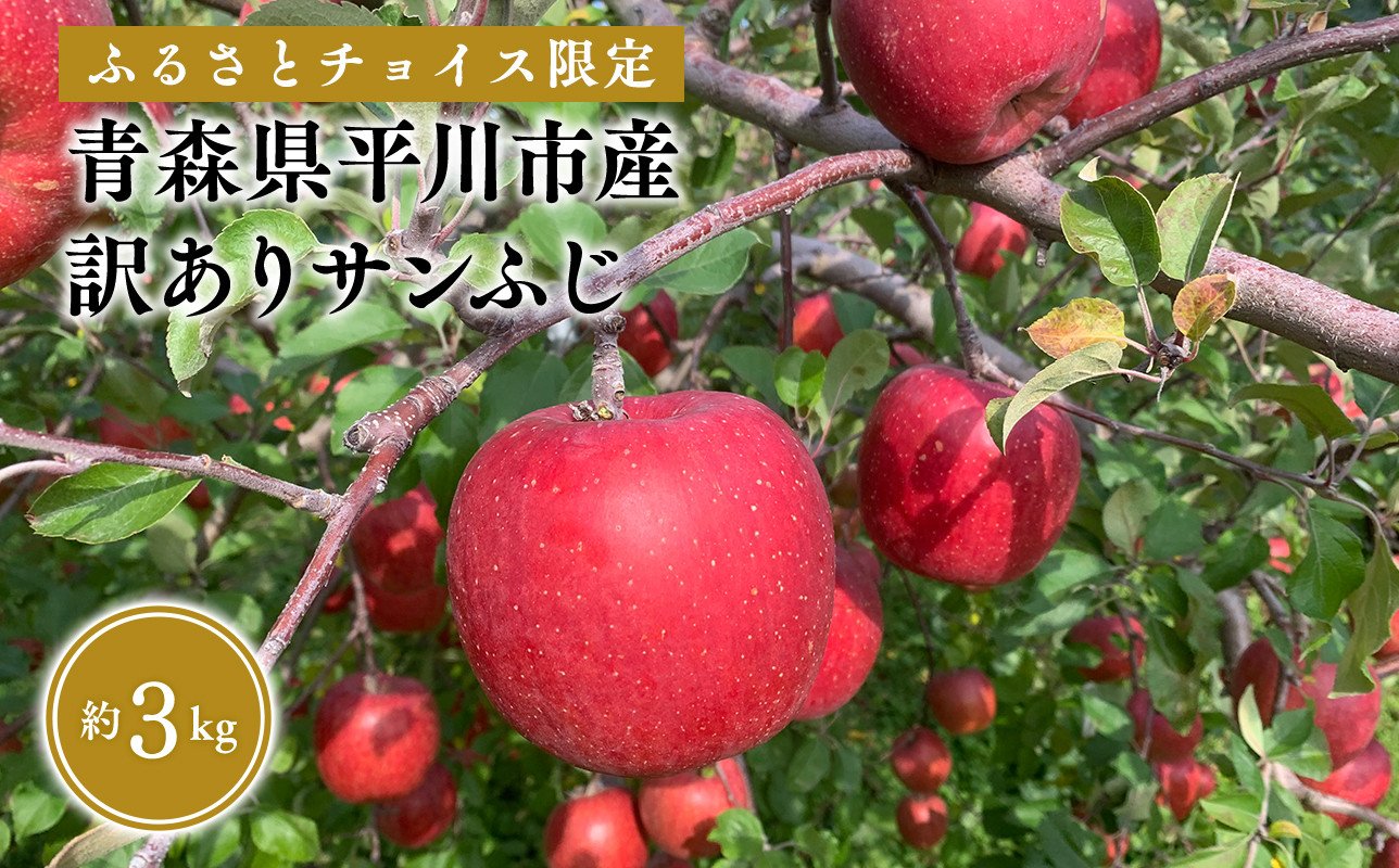 
ふるさとチョイス限定品！12月 訳あり サンふじ 約3kg【なるみ農園・青森りんご・平川市産・12月・数量限定・チョイス限定】
