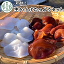 【ふるさと納税】採れたて新鮮！ 生きくらげたっぷりセット 国産 東白川村産 食物繊維 生きくらげ きくらげ 白きくらげ 白いきくらげ キクラゲ 木耳 佃煮 東白川村 岐阜 18000円