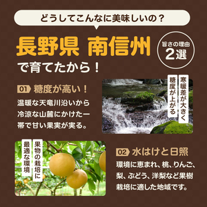ジューシーで甘い! 長野県産 梨 なし 南水 約3kg 秀品 〈2025年9月中旬～10月中旬発送〉| 果物 くだもの フルーツ 梨 なし 南水 長野県 信州 南信州 飯田市
