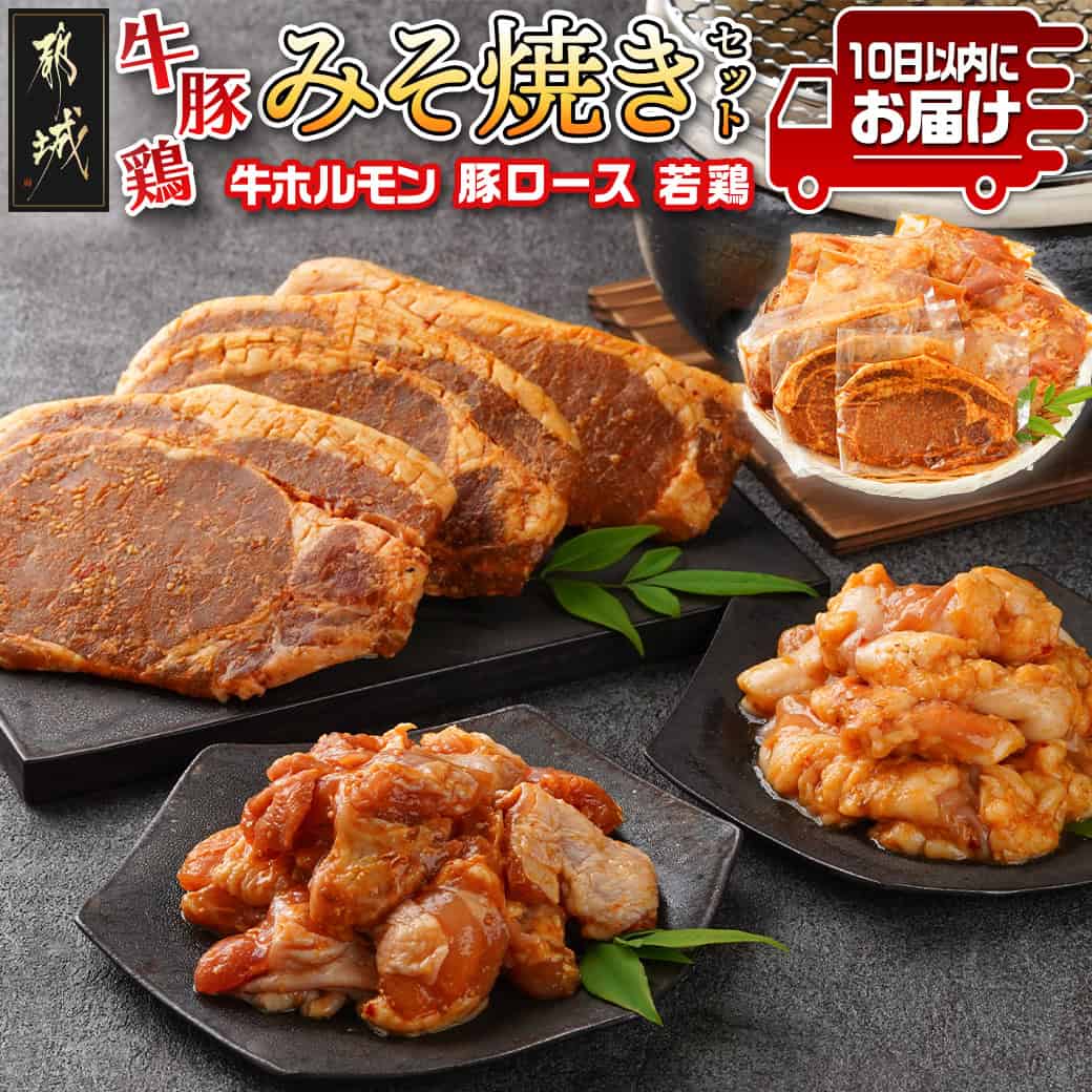 【ふるさと納税】牛・豚・鶏ももみそ焼きセット(牛ホルモン・豚ロース・若鶏もも)≪みやこんじょ特急便≫ - 国産 真空 牛ホルモンみそ焼き用 豚ロース肉みそステーキ用 送料無料 AA-I601-Q【宮崎県都城市は2年連続ふるさと納税日本一！】