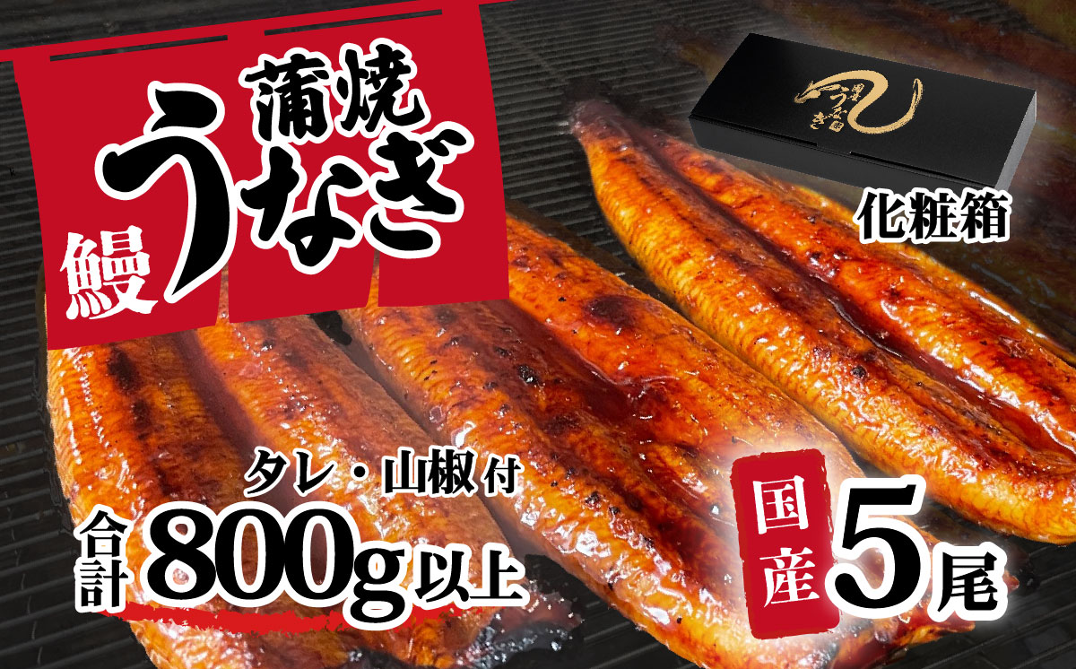 【化粧箱入り】【 訳アリ 】 国産うなぎ 蒲焼き 5尾 セット ( 640g 以上) 大きさ の不揃い 山椒付き ウナギ 鰻 ふぞろい 不揃い うな重 ひつまぶし 人気 茨城 八千代町 ふるさと納税 