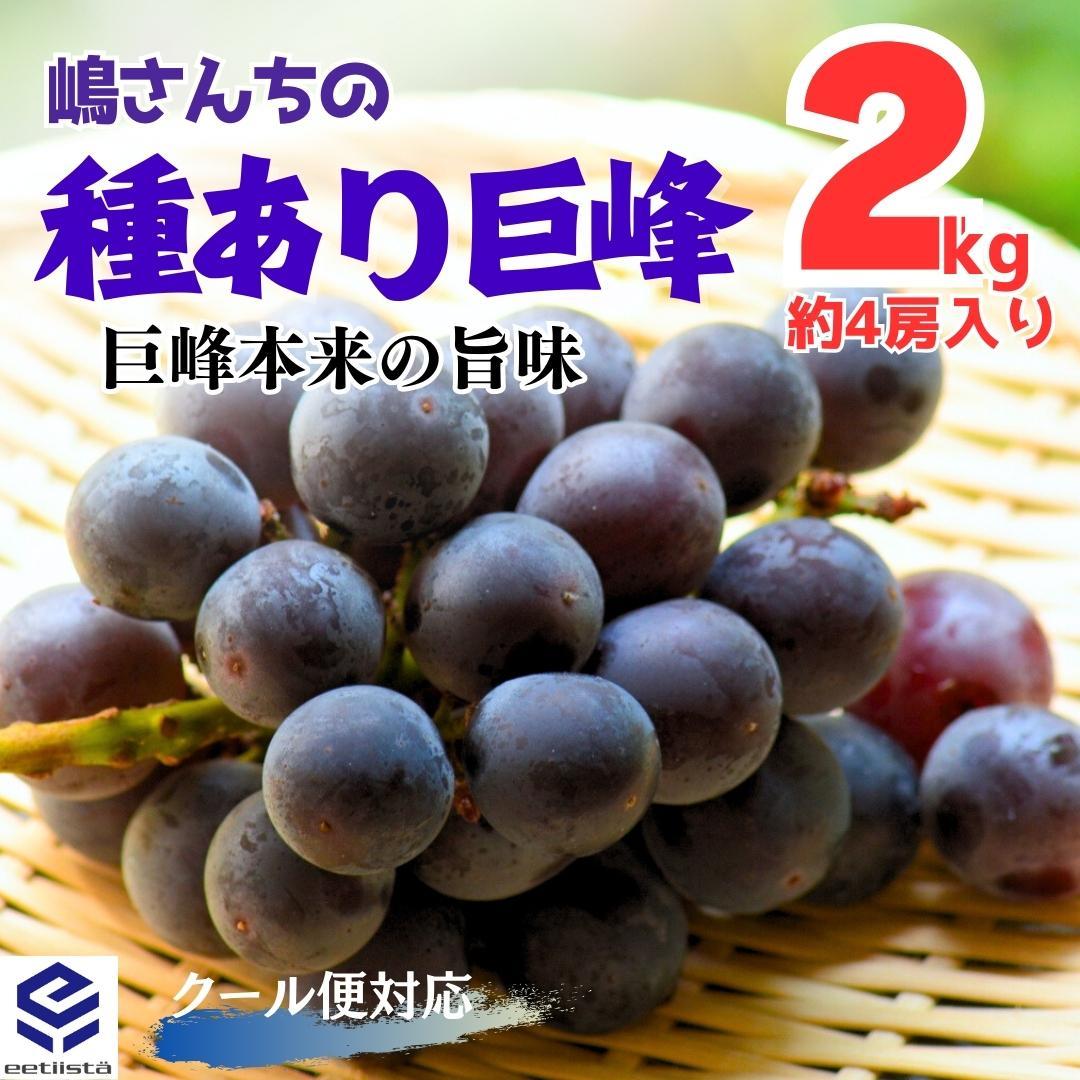 種あり巨峰 2kg ( 約2～4房入 ) 和歌山県産 産地直送 クール便対応