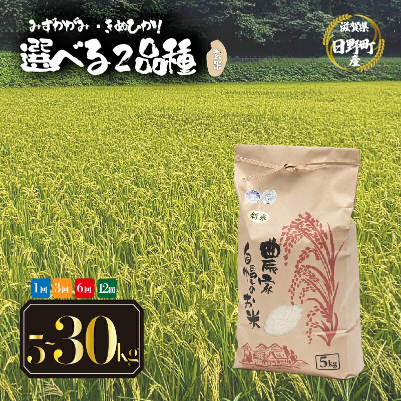 【ふるさと納税】 令和8年産 新米 玄米 選べる 【 品種 容量 お届け回数 】 みずかがみ きぬひかり 5kg 10kg 30kg 玄米 定期便 3ヶ月 6ヶ月 12ヶ月 米 2026年産 国産 滋賀県 日野町 農家直送 お米 おこめ こめ 産地直送 ふるさと納税 スーパーセール お買い物マラソン