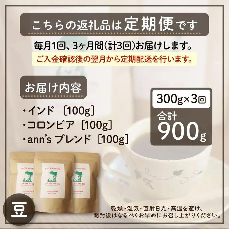コーヒー豆 【定期便3か月】ann's cafe 100g×3種 コーヒー豆