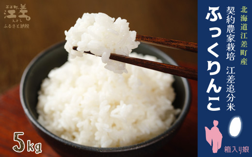 【令和8年産　新米予約：10月より順次発送】契約農家栽培 江差追分米『ふっくりんこ』【5kg】令和8年産　2026年産　北海道江差町産　北海道米　白米　精米　お米　おこめ　こめ　ご飯　ごはん　農家直送　単一原料米　ブランド米　ふっくら食感、ここちよい甘さ