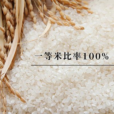 ふるさと納税 津和野町 高津川の恵み 特別栽培米ヘルシー元氣米2kg×2袋(4kg)(令和7年産) |  | 01