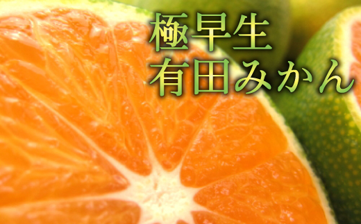 
【初秋の美味】厳選!濃厚極早生有田みかん　約4kg【2024年10月中旬から順次発送予定】
