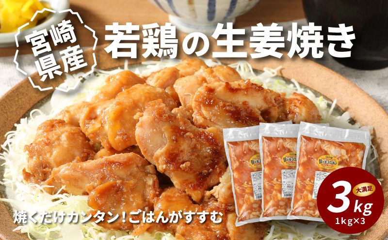 簡単調理 宮崎県産若鶏の生姜焼き3㎏(1kg×3P) _K16_0060_4