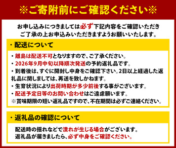 ＜先行予約受付中！2026年9月中旬以降順次発送予定＞福岡県ブランドみかん 早味かん(計約3kg) みかん ミカン オレンジ 蜜柑 はやみかん 温州 極早生 ブランド 柑橘 果物 くだもの フルーツ 