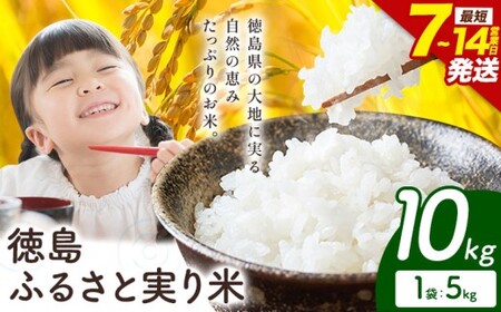 【最短7日発送】徳島ふるさと実り米 10kg  白米