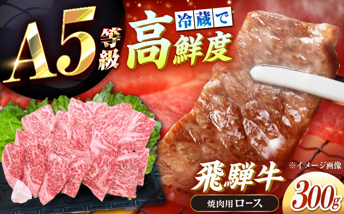 
            【チルド（冷蔵）発送！】 牛肉 「飛騨牛」 A5等級 ロース 300g / 肉 お肉 にく牛肉 飛騨牛 和牛 国産和牛 ブランド牛 お取り寄せ 価格 ステーキ 焼肉 おすすめ 人気 贈答用 ギフト プレゼント 高級 焼肉 鉄板焼き 網焼き BBQ バーベキュー / 恵那市 / 東美濃農業協同組合 [AUFX007]
          