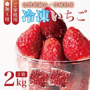 宮城県産 完熟冷凍いちご 2kg(1kg×2袋)【加工用・ご家庭用】ヘタ無しで便利♪通年出荷【配送不可地域：離島】【1497570】