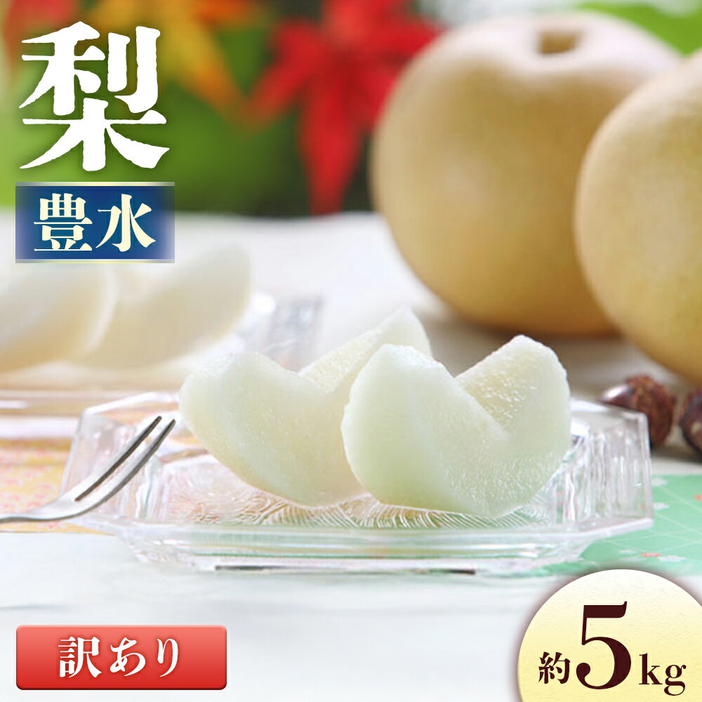 【ふるさと納税】〈先行予約〉梨 豊水〈訳あり品 〉 約5kg【8～16玉】※2025年8月下旬～9月中旬発送※