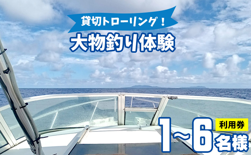 貸切トローリング！「大物釣り体験」1～6名様ご利用券 トローリング ボート 船 ルアー 餌 釣り 外洋 シイラ カツオ キハダマグロ カジキ 回遊魚 釣り竿 フィッシング 沖縄 釣り人 海 魚 貸切 体験