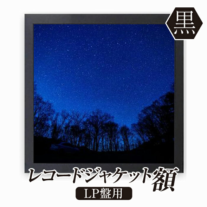 【ふるさと納税】レコードジャケット額 黒 LP盤用 UVカットペット板仕様 [No.704] ／ フレーム シンプル オシャレ 送料無料 岐阜県