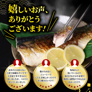 訳あり さば 塩鯖約3kg規格外 サバ 旭市