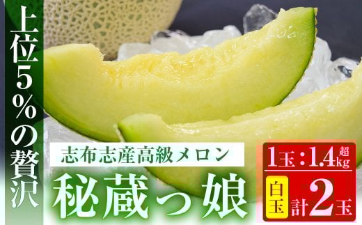 【冬限定】極上メロン「秘蔵っ娘」白玉(青肉)2個 メロン マスクメロン 果物 くだもの デザート 青肉 b5-037-w