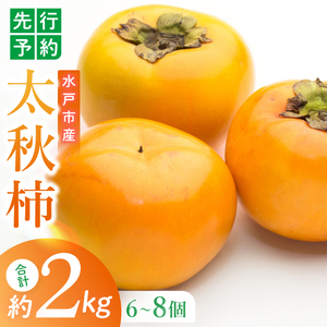 【2026年10月上旬より順次発送】【数量限定】太秋柿 約2kg（6-8玉）【フルーツ 果物 柿 甘柿 完熟 くだもの デザート おやつ 水戸市 茨城県】（MA-4）