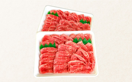 【6回定期便】長崎和牛 もも肉 800g / 南島原市 / はなぶさ [SCN080]