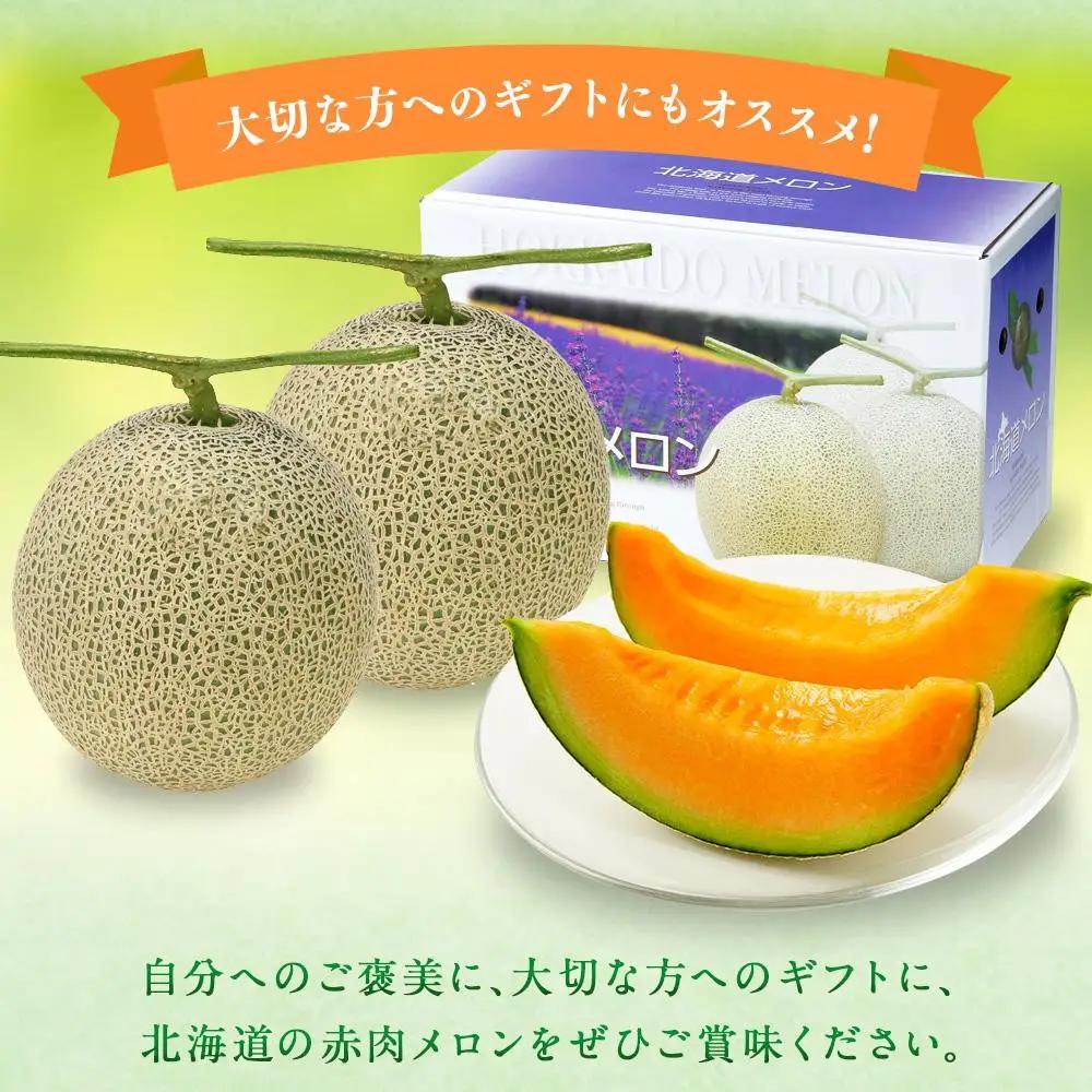 旭川発！北海道の赤肉メロン1玉（1玉標準 1.3kg以上）2026年6月下旬から発送開始 | メロン _05230