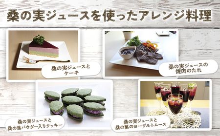 無加糖桑の実ジュース「結の桑」 360g×2本（無加糖）株式会社モアビートプロモーション《30日以内に出荷予定(土日祝除く)》果汁飲料 マルベリー 100％ ストレートジュース 抗酸化作用 生活習慣病