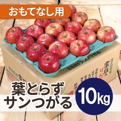 【2025年10月発送予定】平均糖度12度以上! 葉とらずサンつがる 約10kg おもてなし用【配送不可地域：離島・沖縄】【1607047】