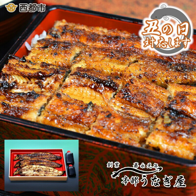 【ふるさと納税】本部うなぎ屋　鰻の蒲焼（2尾）白焼き（1尾）セット 国産 うなぎ 手焼き 食べ比べ 送料無料 小分け 真空パック「西都市ピカイチ認証品」丑の日までのお届け企画受付中
