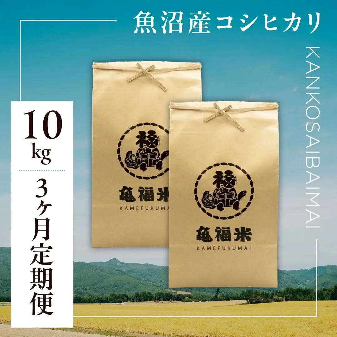 3ヶ月定期便 魚沼産コシヒカリ 亀福 慣行栽培 10kg(5キロ×2袋) | 津南町 魚沼 令和7年