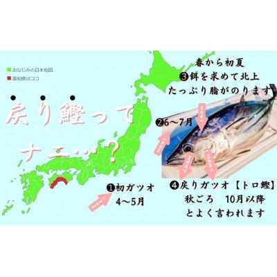 ふるさと納税 四万十町 【2025年3月上旬発送】藁焼きかつおタタキ 1節セット　300g　Ess-16 |  | 03