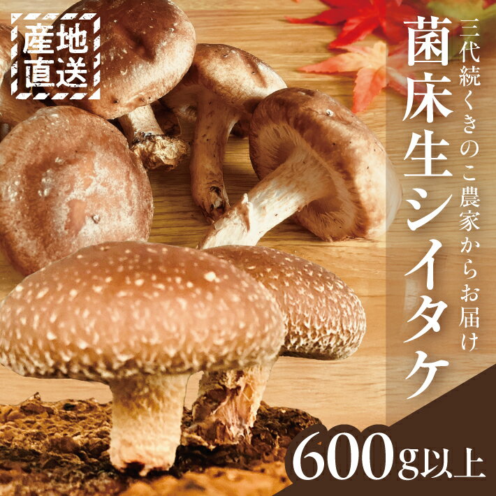 【ふるさと納税】菌床生シイタケ 150g以上×4袋 計600g以上 山形県酒田産 10月下旬〜12月下旬頃お届け 冷蔵便 ※着日指定・離島発送不可 菌床 国産 生しいたけ 椎茸 きのこ 野菜 秋 冬 新鮮 酒田市 庄内