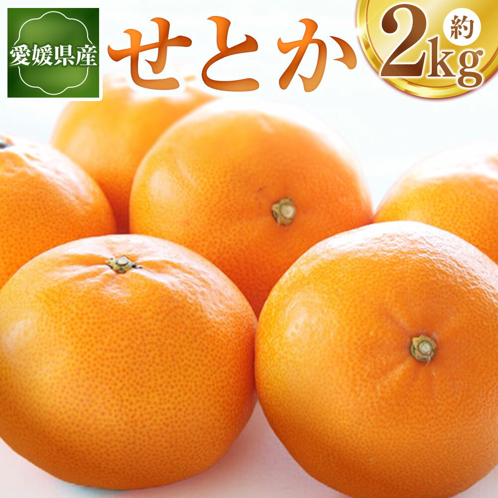 【ふるさと納税】 せとか 約2kg たべきりサイズ みかん ミカン 蜜柑 柑橘 かんきつ フルーツ くだもの 果物 果実 デザート 食べ切り 愛媛県産 国産 愛媛県 送料無料 【2027年2月下旬～4月下旬発送予定】（1117）