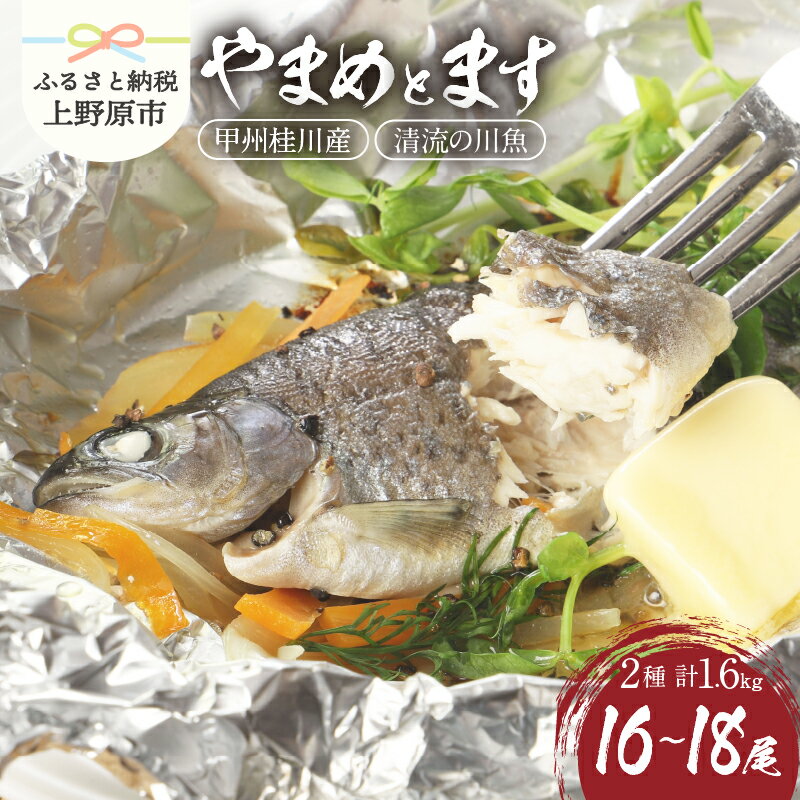 【ふるさと納税】 魚 川魚 やまめ ます セット ギフト 和食 鮮魚 清流 塩焼き 甘露煮 セット 桂川 詰め合わせ 贈答 贈り物 送料無料 ※沖縄県、離島不可 山梨県 上野原市
