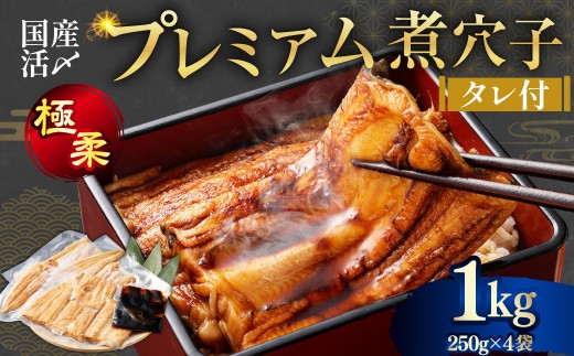 飯田商店 国産活〆 プレミアム 煮穴子 1kg（ 250g×4袋 ） タレ付 魚介 魚介類 鮮魚 海鮮 魚 お魚 煮込み あなご 穴子 煮穴子 おかず 惣菜