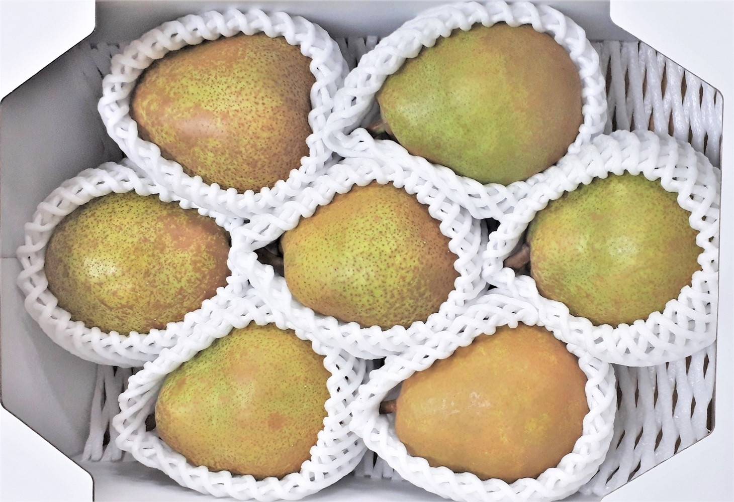 
                  西洋梨（ラ・フランス）２ｋｇ　特秀品　0056-2618
                